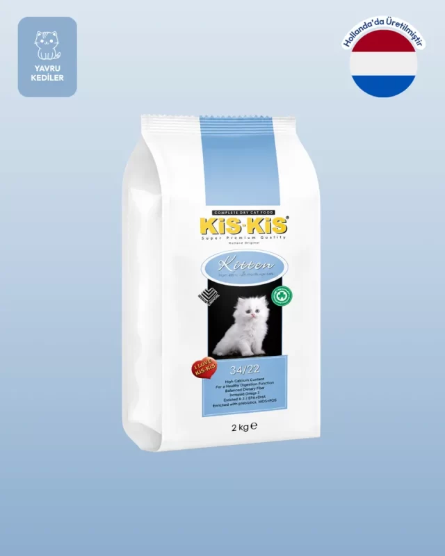 kitten kedi mamasi 1.webp