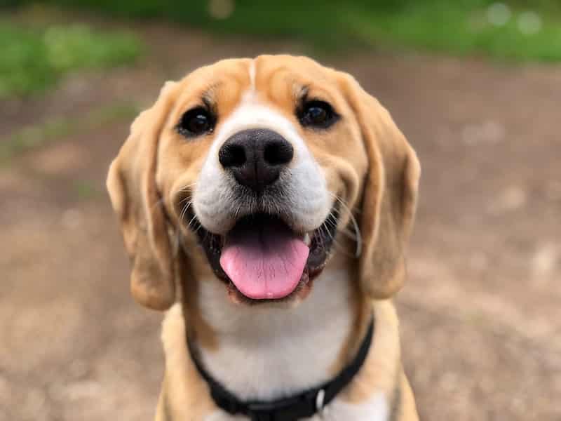 marliese streefland 2l0CWTpcChI unsplash