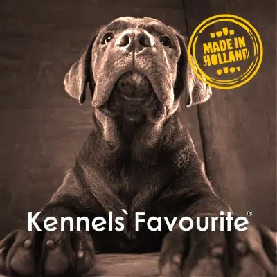 kennels favourite marka banner