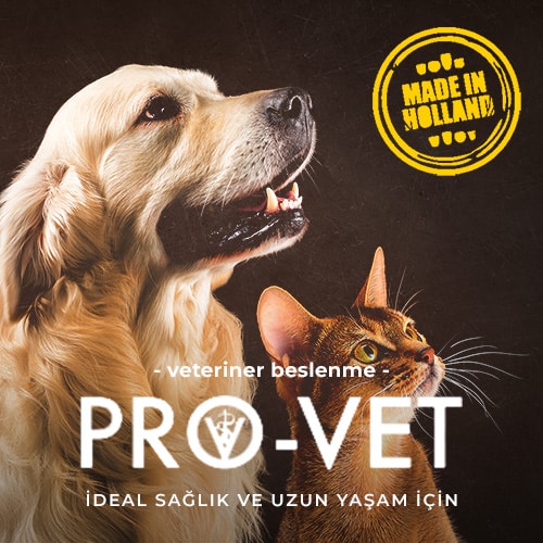 provet
