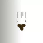 PRO-VET Adult Kedi Maması - Yetişkin & Kısırlaştırılmış Desteği - Görsel 4