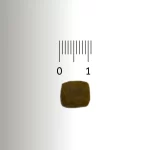 PRO-VET Renal Kedi Maması - Böbrek Sağlığı Desteği - Görsel 4