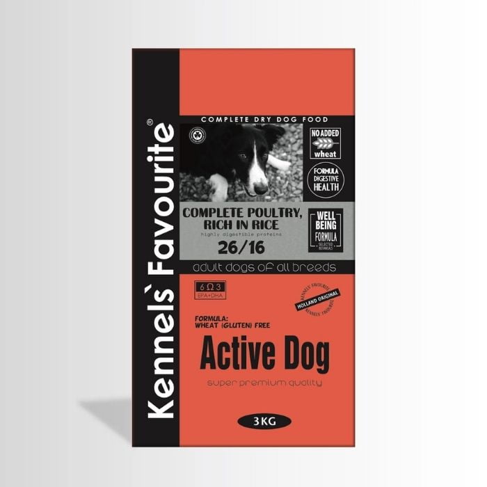 active dog kopek mamasi